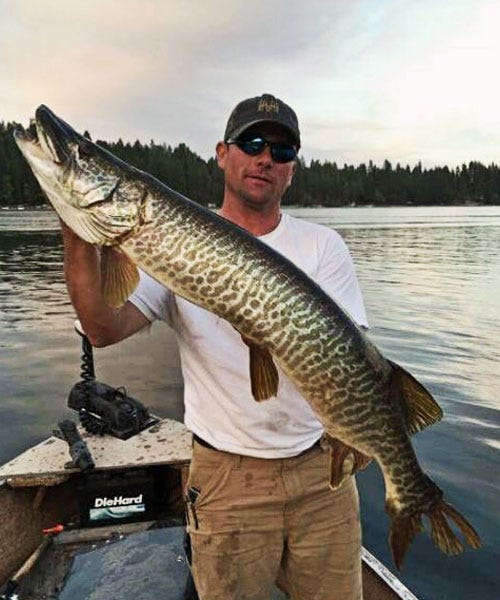 savagegearblog_42617_img3
