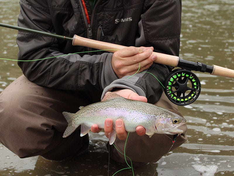great-falls-fishing-report-4-10-17c