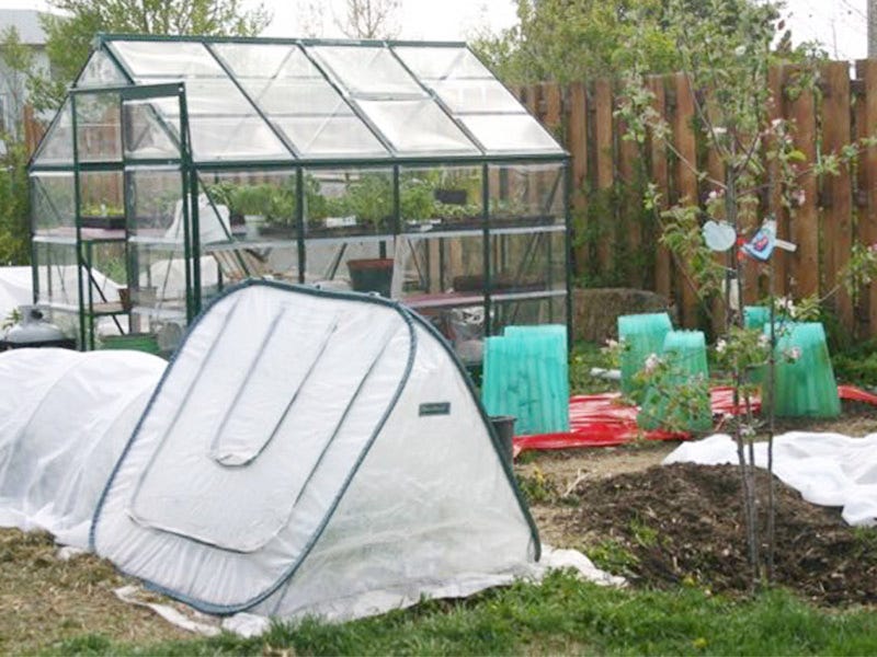 Top 4 Ways to Extend your Growing Season & Plant TODAY!