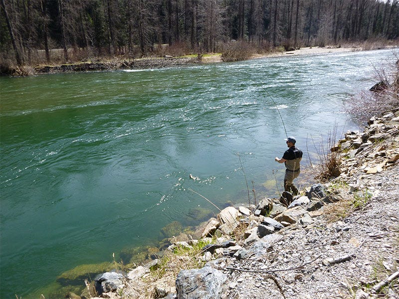 cdariverreport_5217_img1