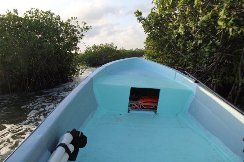 fly-fishing-on-isla-holbox-8-copy