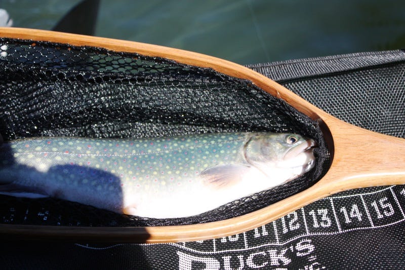 fly-fishing-colville-tribal-lands