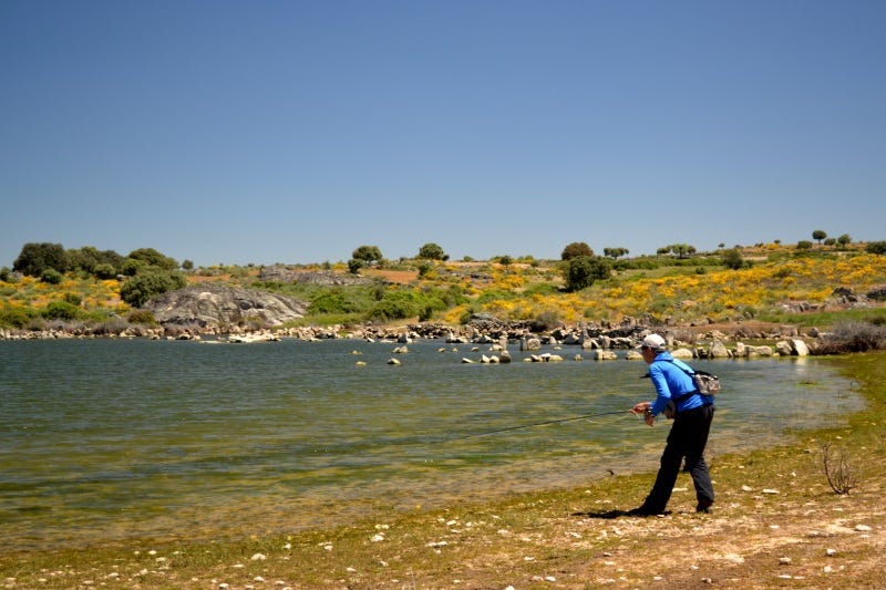 fly-fishing-for-barbel-europe-2-copy