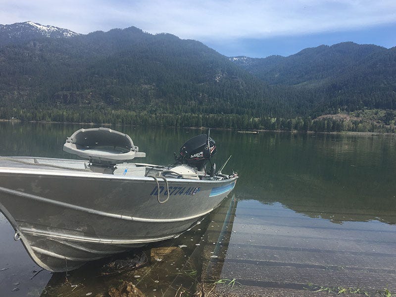 Cabinet Gorge Fishing Report 5.10.2017