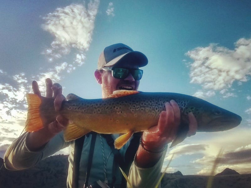 Missouri River Fishing Report 5.31.2017