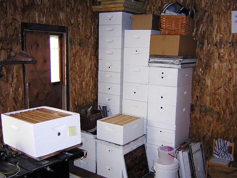 spring_hives_e
