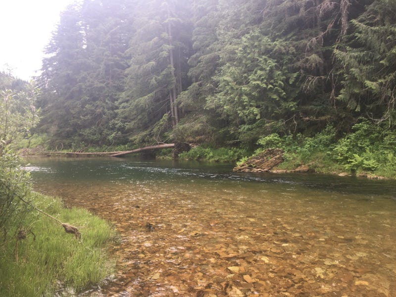coeur-dalene-river-fishing-report-1