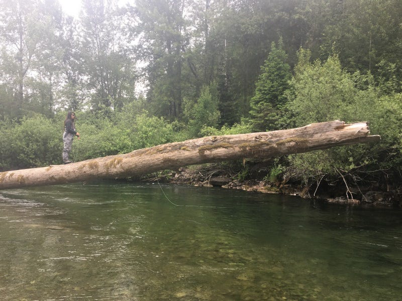 Coeur d'Alene River Fishing Report 6.14.2017