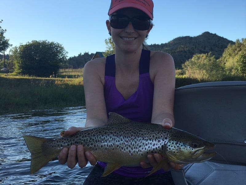 Missouri River Fishing Report 6.21.2017