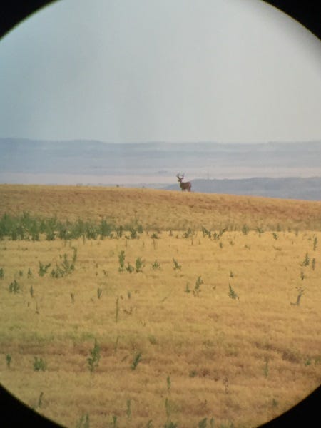 summer scouting for fall hunts (1)
