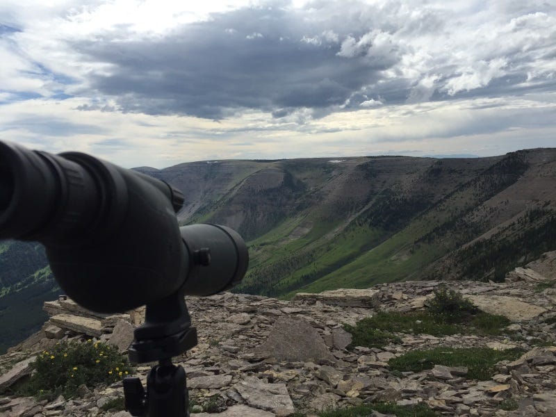 summer scouting for fall hunts (3)