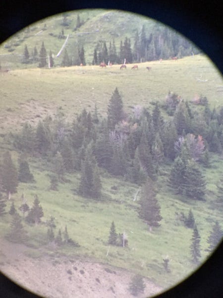 summer scouting for fall hunts (4)
