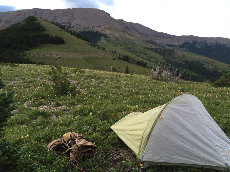 summer scouting for fall hunts (5)