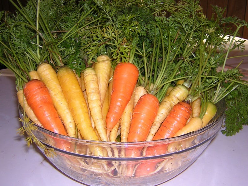 Colorful carrots