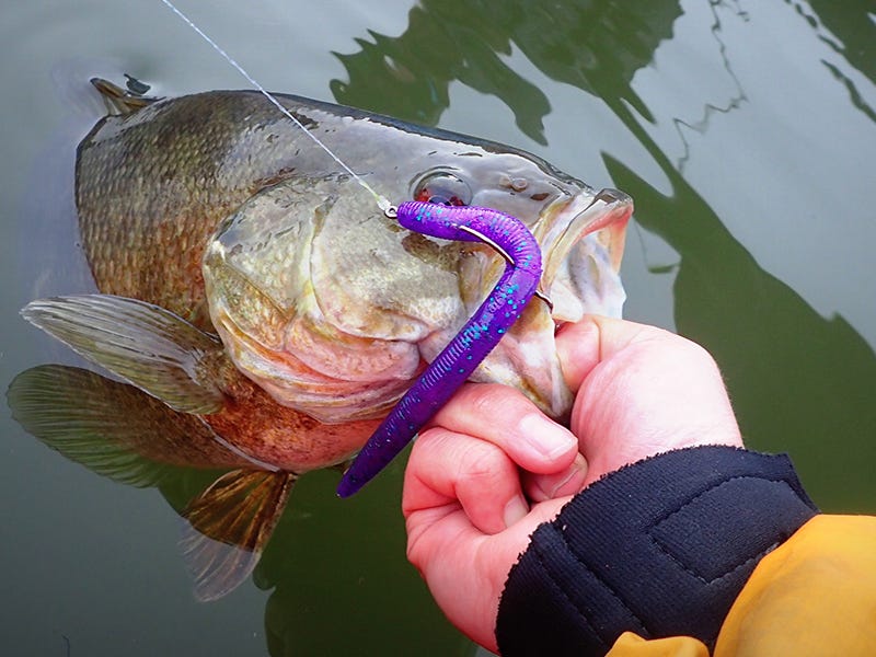 Hooked-Trapper Tackle Hooks