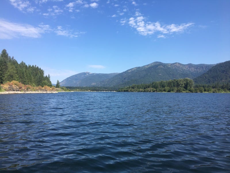 Cabinet Gorge Reservoir Fishing Report 7.28.2017