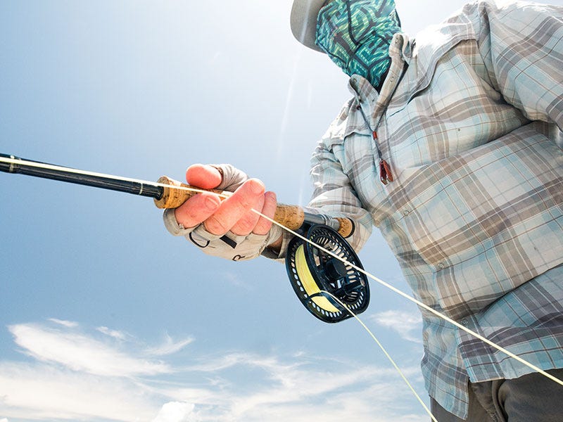 Summer Fly Fishing: Tips to Beat the Heat