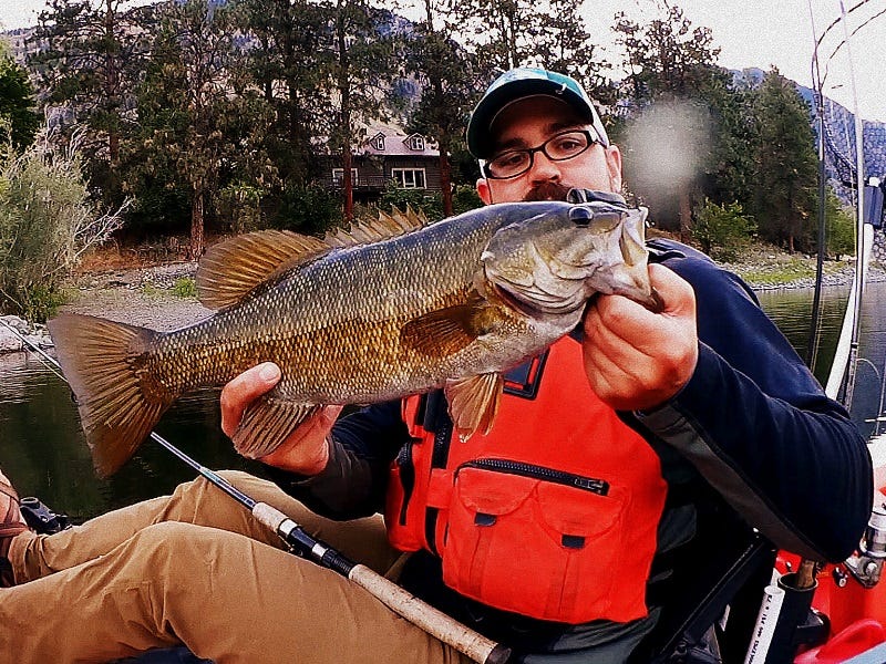 Goby or Go Home: Savage Gear's New 3D Goby Tube
