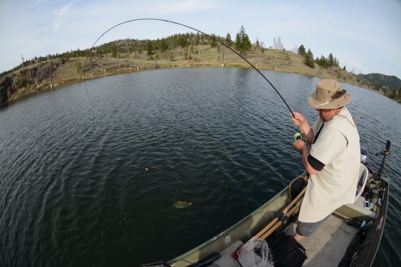 late summer and bomber chironomids (4)