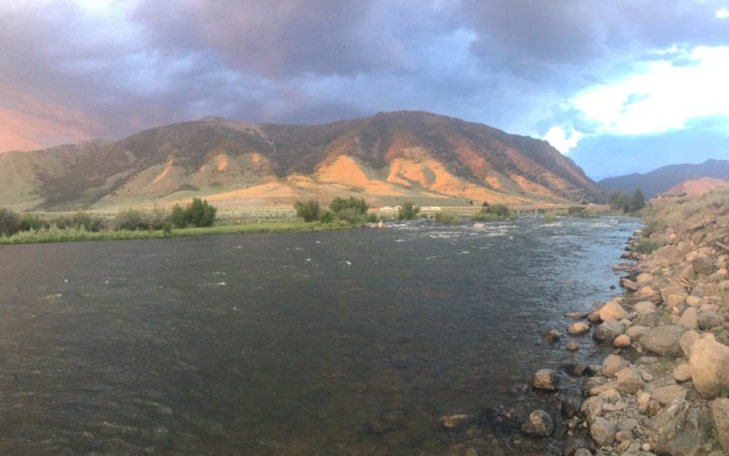 madison river fishing report (1)