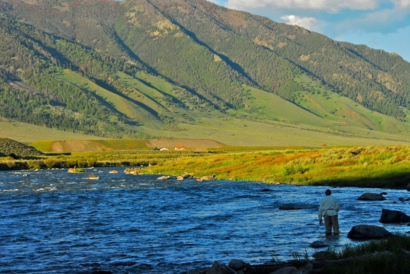 madison river report