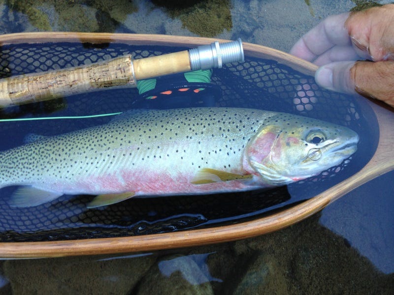 Methow River Tributary Report