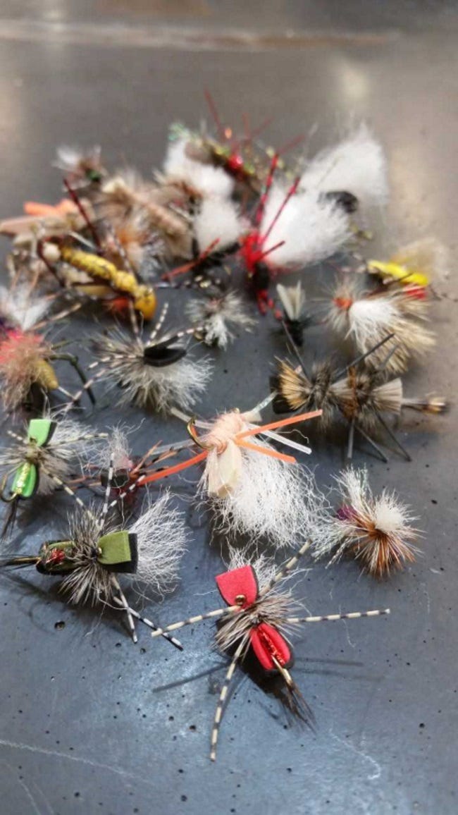missouri river fly fishing report