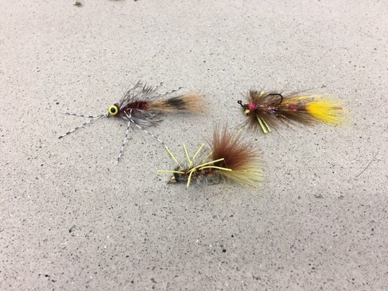 Summer Fly Fishing Tactics in Northern Idaho