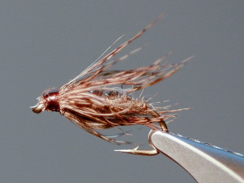 Why Tie with Soft Hackles? No Trout on Earth can Refuse a Soft-Hackle Pattern.