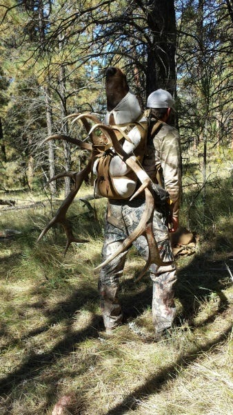 Calling Elk Mistakes I Made (2)