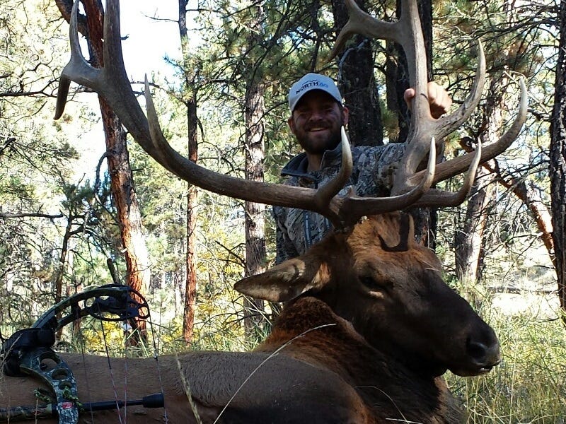 Calling Elk: The Mistakes I Made... and what I Learned