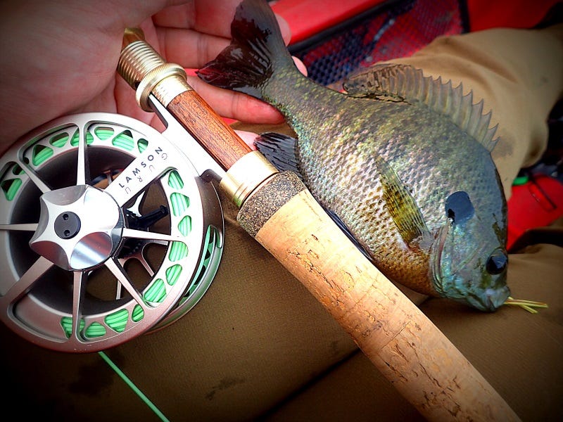 Late Summer Panfish Tactics (3)