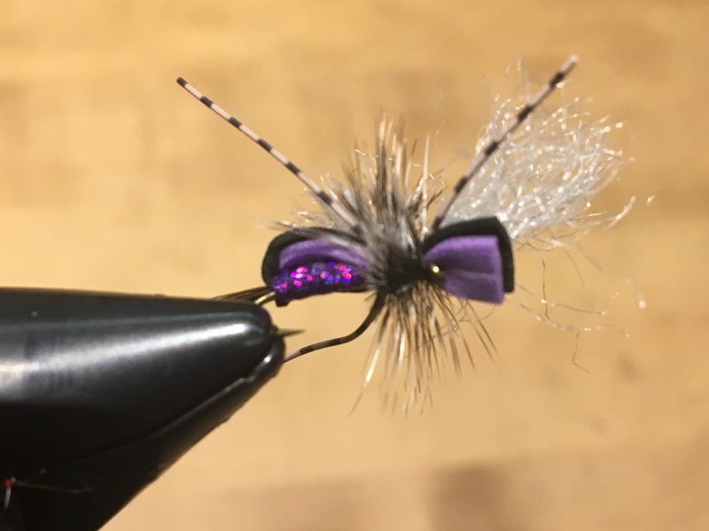 North Idaho Two Flies for Late Summer and Beyond (2)
