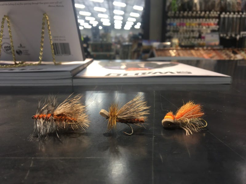October Caddis and how to catch fall fish (2)