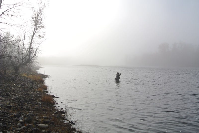 idaho steelhead catch and release only 2017 2018