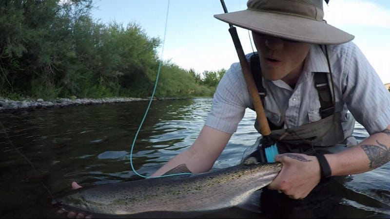 idaho steelhead regulaitons in 2017