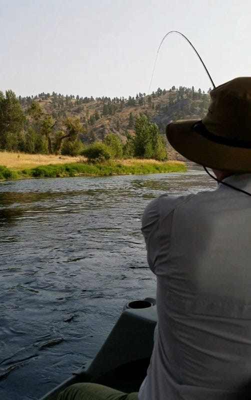missouri river fishing report (2)