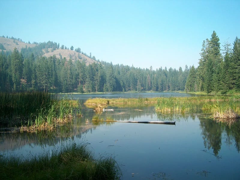 Omak Fishing Report: Blackpine Lake 8.21.2017