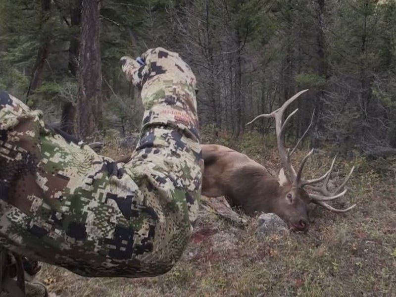 Sitka Subalpine Camo: An Interview with Developer John Barklow