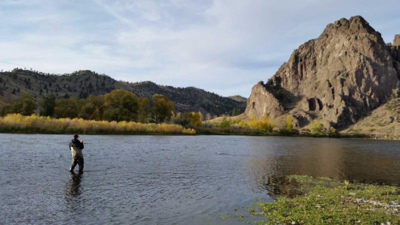 the case for fall fishing