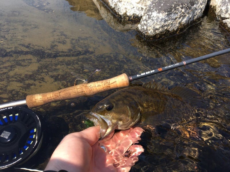 Fall Smallmouth on the Grande Ronde