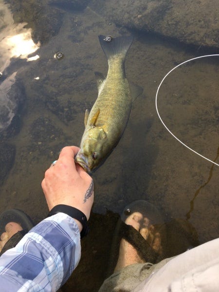 Fall Smallmouth on Washington’s Grande Ronde (3)