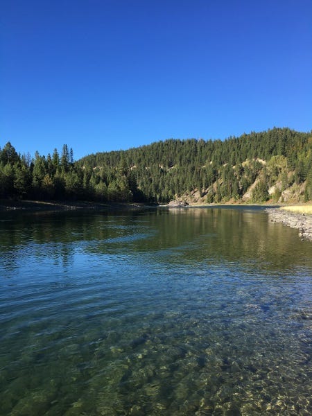 clearwater river fishing report 1