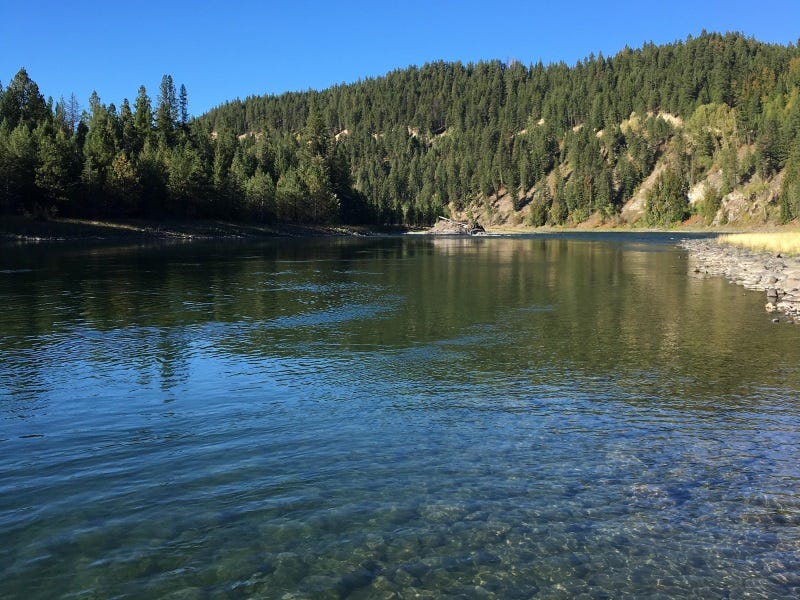 Clearwater River Fishing Report 9.28.2017