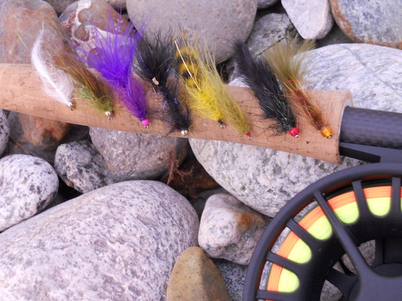 Fall Lakes and Leeches