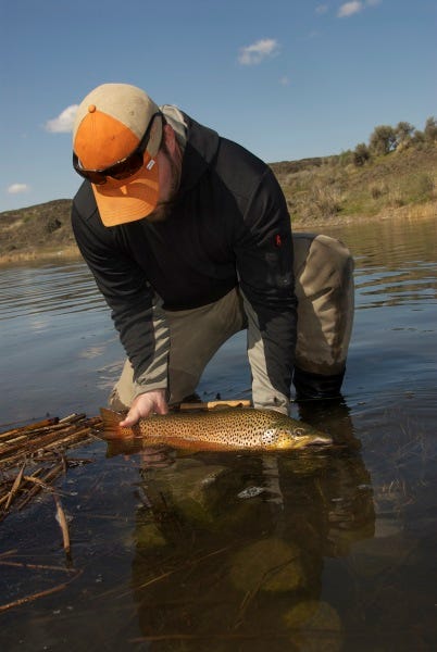 fall fly fishing leeches (2)