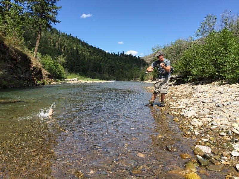 Idaho Fishing Report