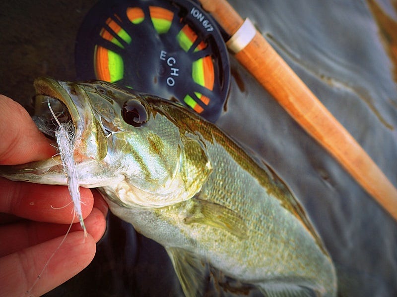 Switching It Up for Smallies