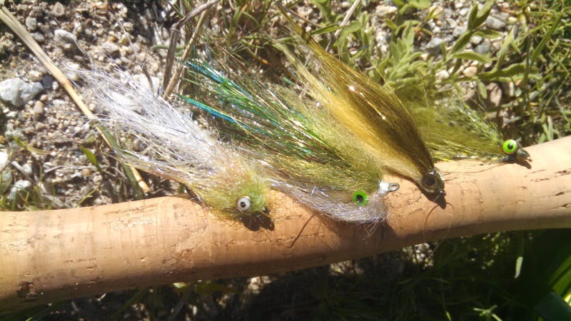 How To Catch Lahontan Cutthroat Trout (2)