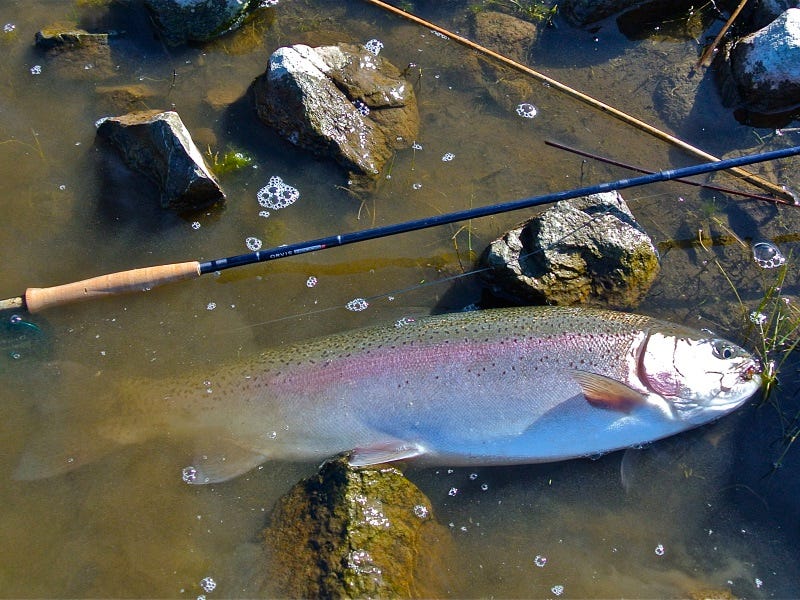 The Countdown Method: Sink Rates And Stripping Streamers